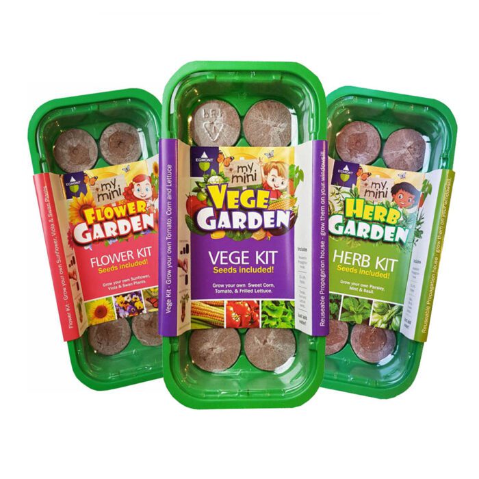 mini gardens flower kit3