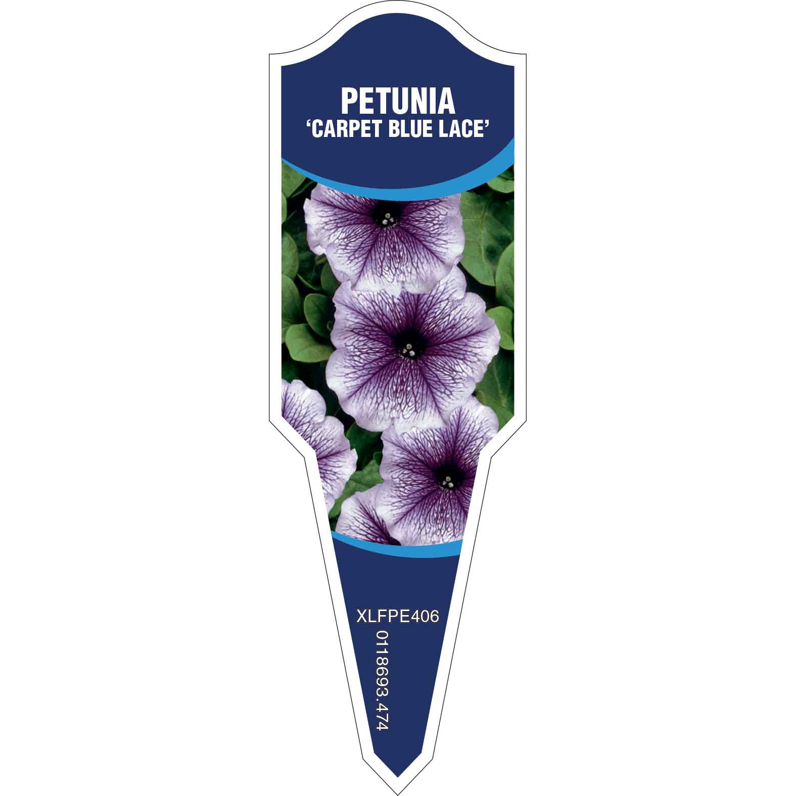 PETUNIA Carpet Blue Lace - Egmont Commercial